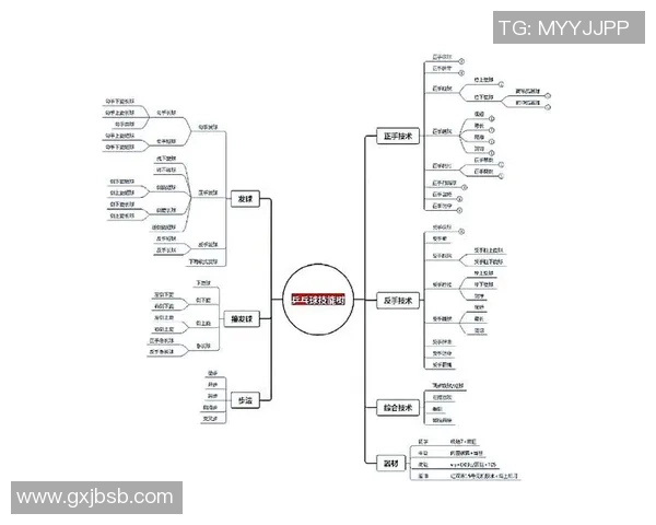 乒乓球技艺探秘：深入分析北京乒乓球队的进攻战术与策略