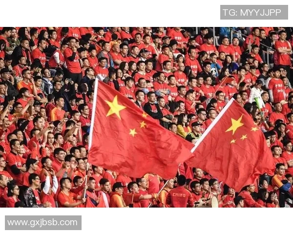 武汉足球队的崛起之路：揭秘他们背后的力量与荣耀