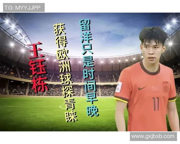 足球明星球探报告揭秘新星潜力与职业发展前景分析 足球明星球探报告揭秘新星潜力与职业发展前景分析