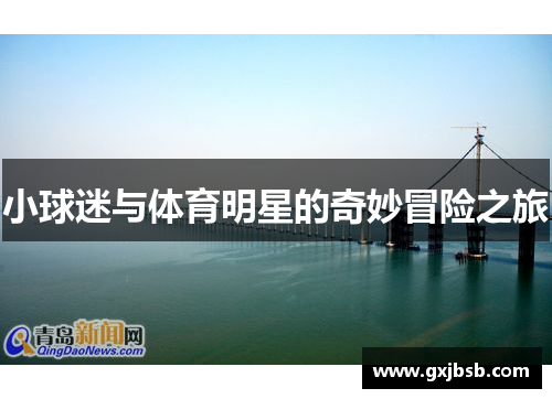 小球迷与体育明星的奇妙冒险之旅